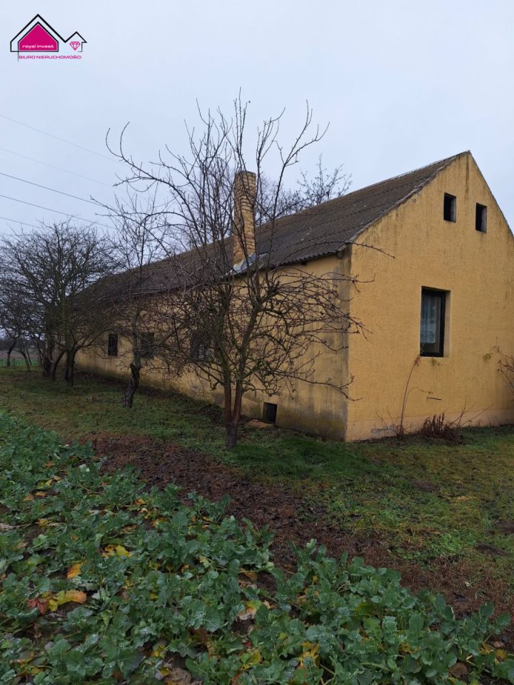 dom wolnostojący, 7 pokoi Berlinek. Zdjęcie 9