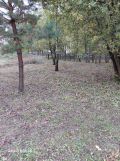 Działka budowlana Trzebinia Góry Luszowskie, ul. Chrzanowska. Zdjęcie 4