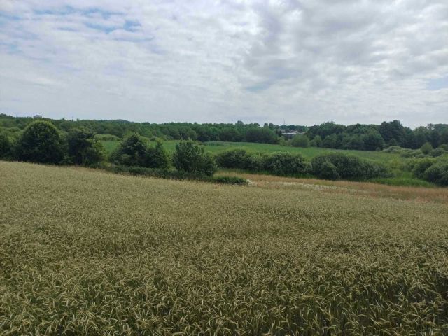 Działka budowlana Ołużna. Zdjęcie 1