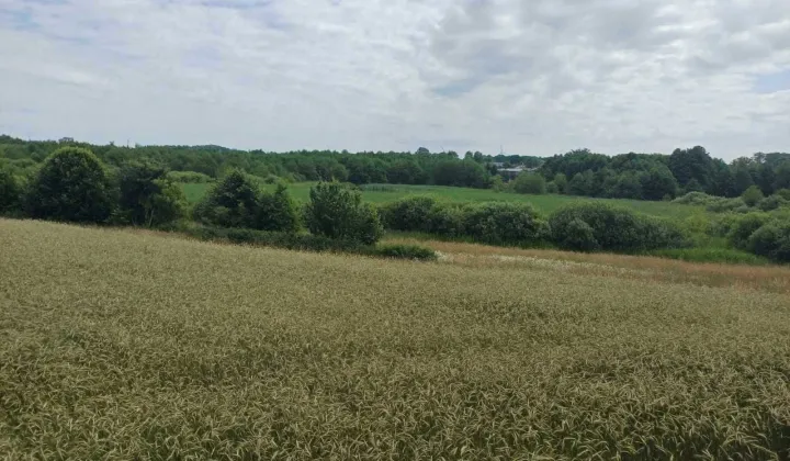 Działka budowlana Ołużna