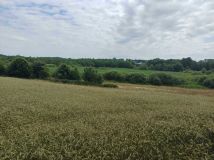 Działka budowlana Ołużna