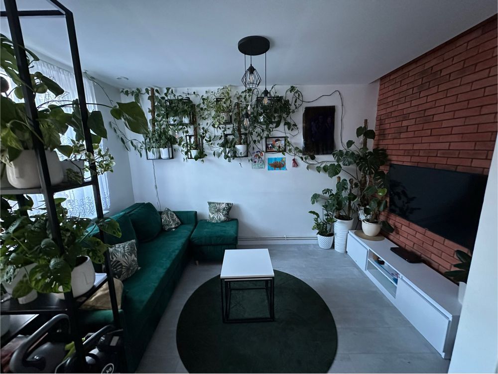 Mieszkanie 3-pokojowe Chodzież