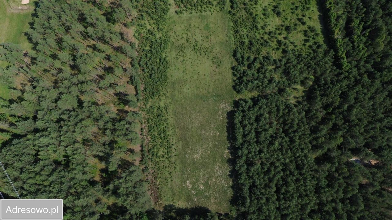 Działka siedliskowa Gostomko, ul. Cisowa. Zdjęcie 2