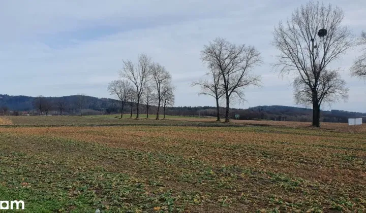 Działka budowlana Tąpadła