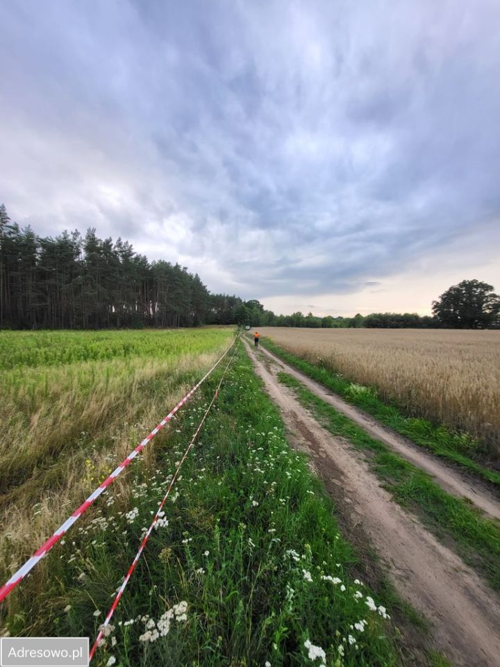 Działka budowlana Bledzew. Zdjęcie 6