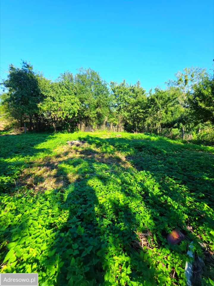 dom szeregowy, 2 pokoje Tarławki. Zdjęcie 4