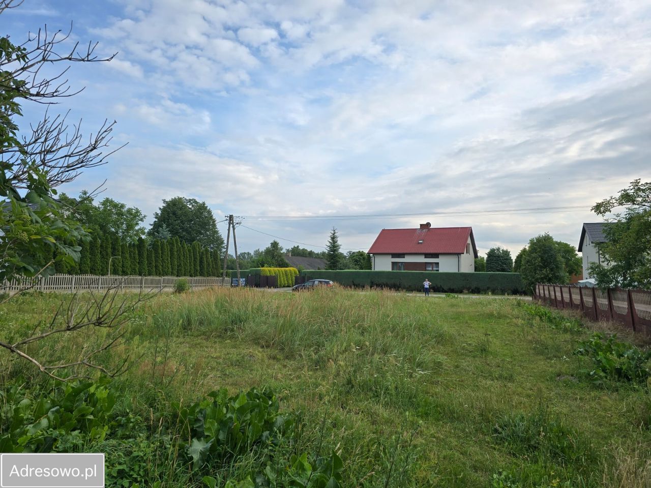 Działka rolna Wola Brudnowska. Zdjęcie 7