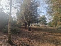 Działka budowlana Łuszczów Pierwszy. Zdjęcie 2