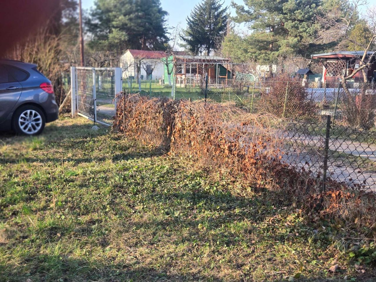 Działka rod Ząbki, ul. Klamrowa. Zdjęcie 3