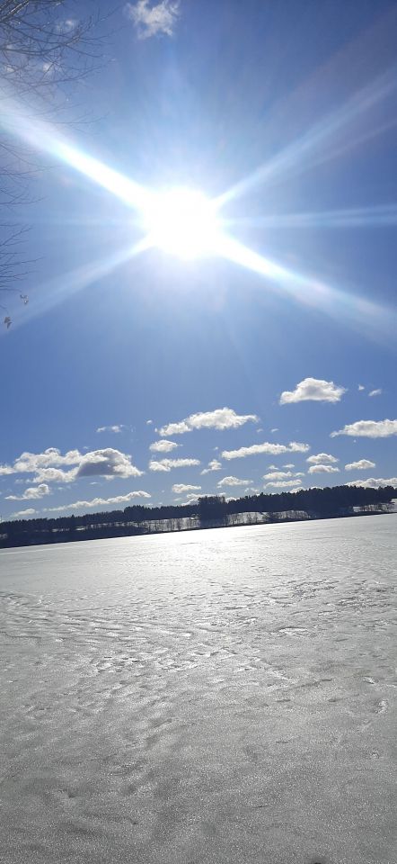 Działka rolna Huta. Zdjęcie 12