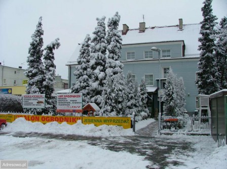 kamienica Reńska Wieś