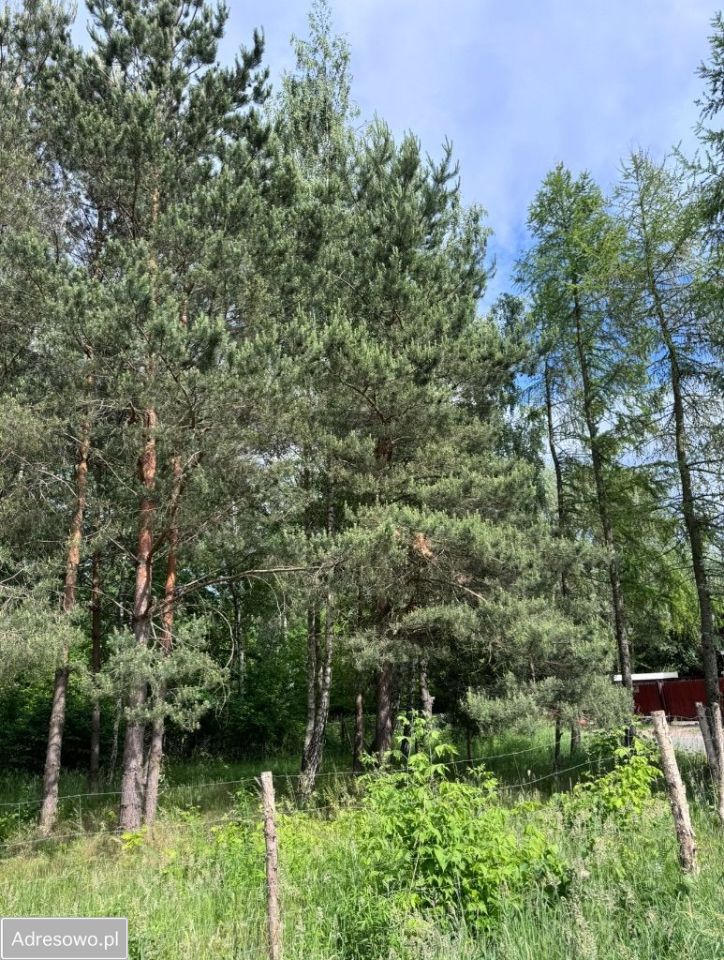 Działka budowlana Stara Wieś, ul. Głogowa. Zdjęcie 7