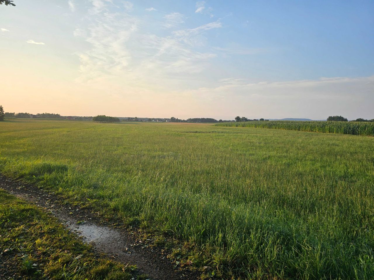 Działka rolna Przeciszów