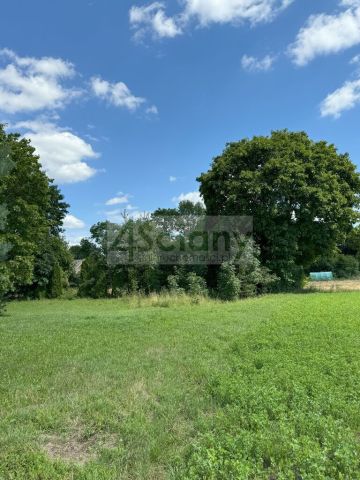 Działka siedliskowa Sławka Mała. Zdjęcie 4