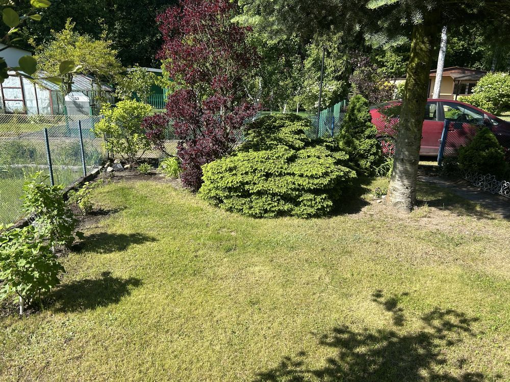 Działka rod Łódź Bałuty, ul. Sianokosy. Zdjęcie 7