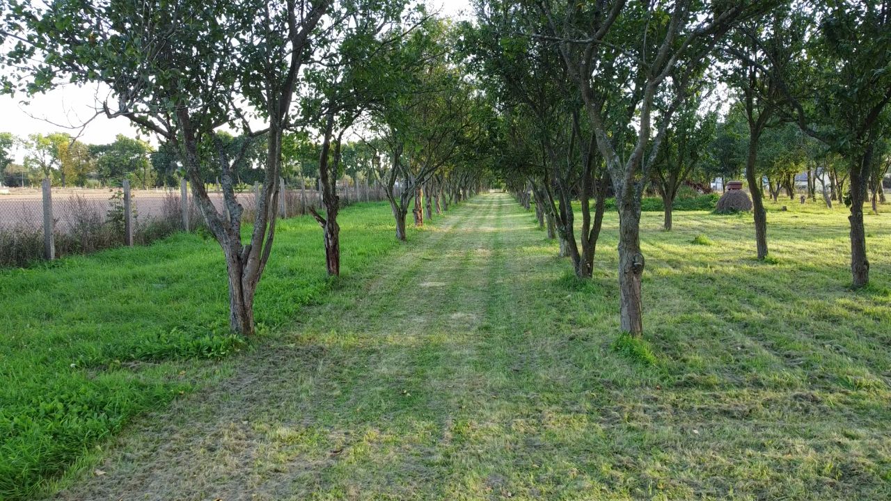 Działka rolno-budowlana Jarszewo. Zdjęcie 10
