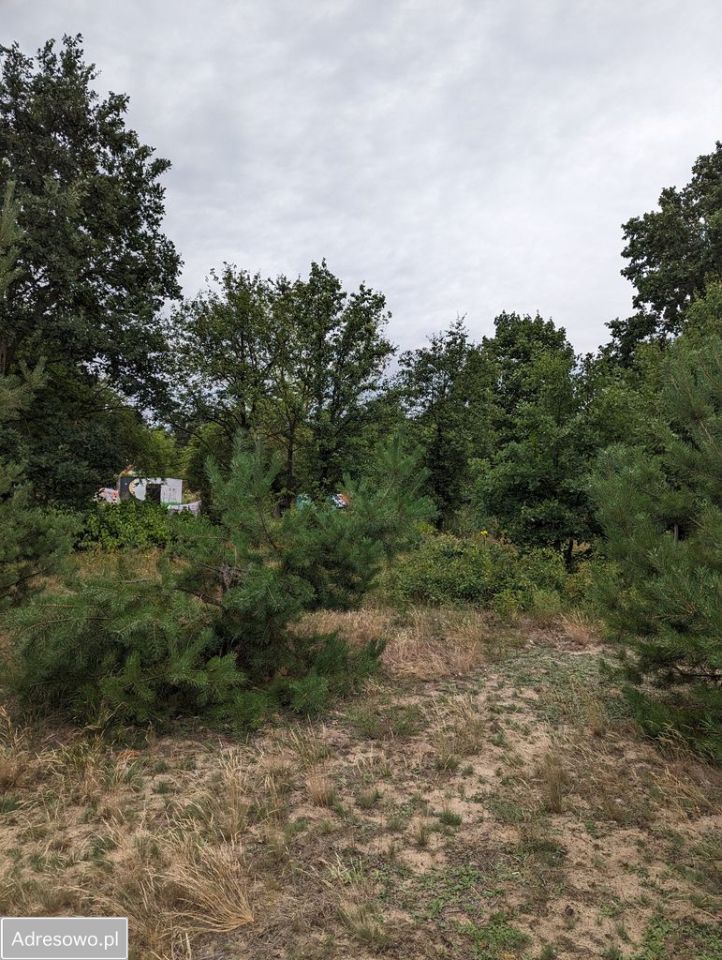 Działka rolno-budowlana Andrzejów. Zdjęcie 2