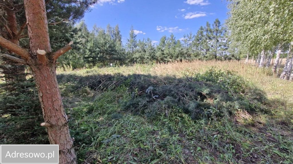 Działka budowlana Długie. Zdjęcie 1