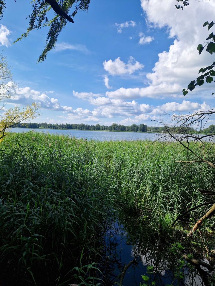 Działka budowlana Giby. Zdjęcie 4