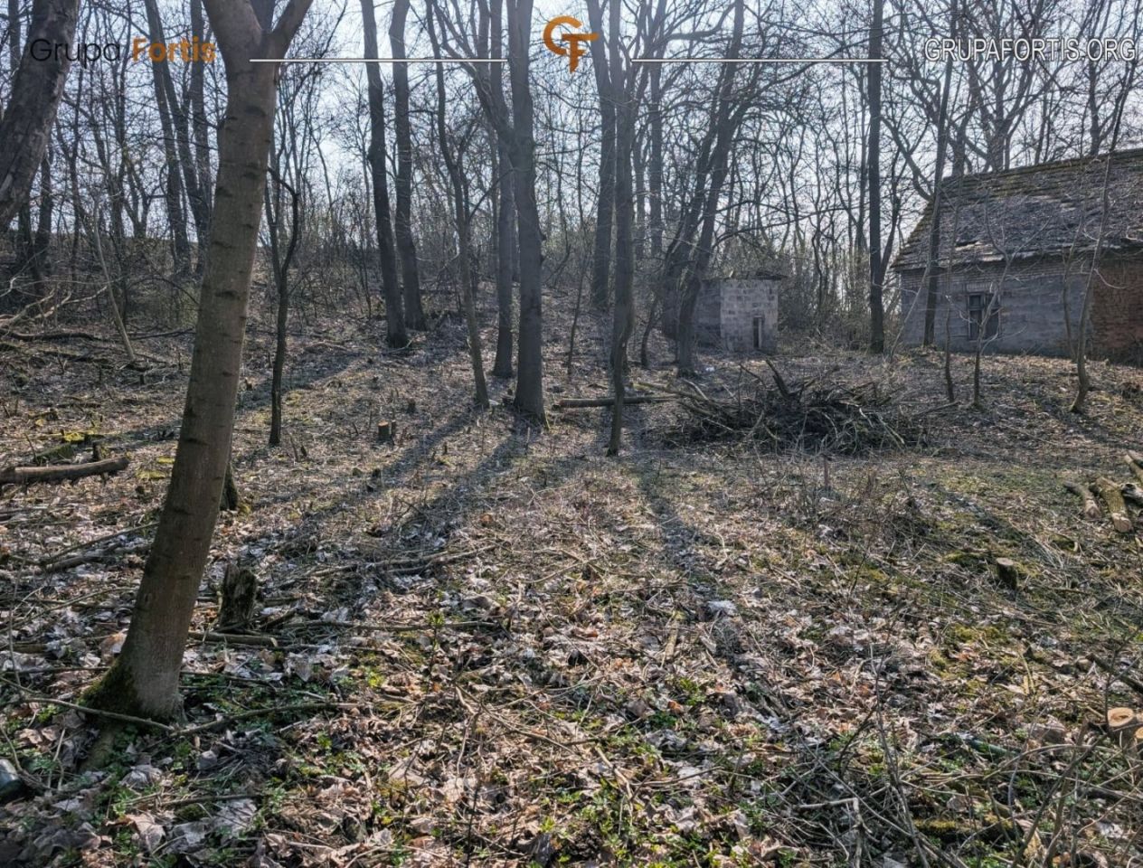 Działka siedliskowa Dębiany. Zdjęcie 6