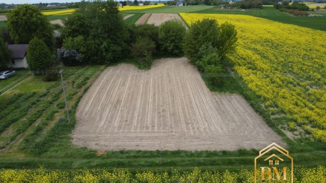 Działka siedliskowa Płouszowice-Kolonia. Zdjęcie 1