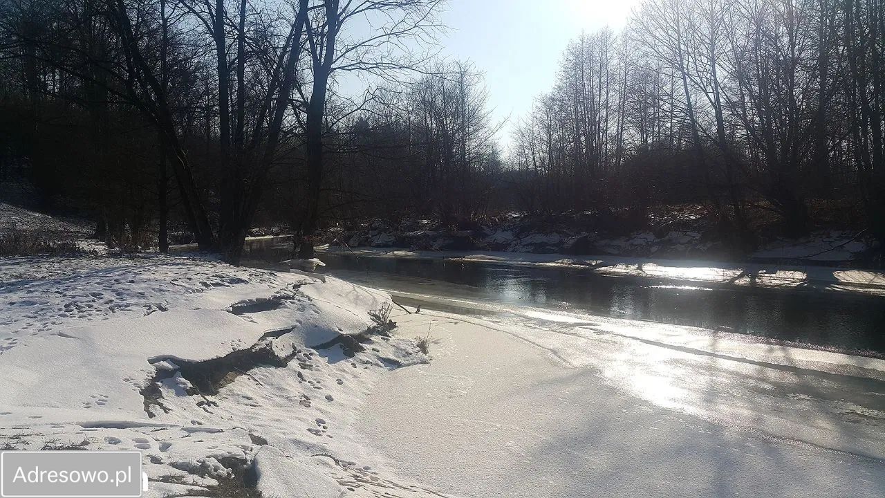 Działka rolno-budowlana Grodnia. Zdjęcie 10