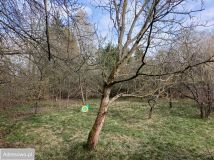 dom letniskowy, 3 pokoje Glinianka, ul. Promienna. Zdjęcie 3