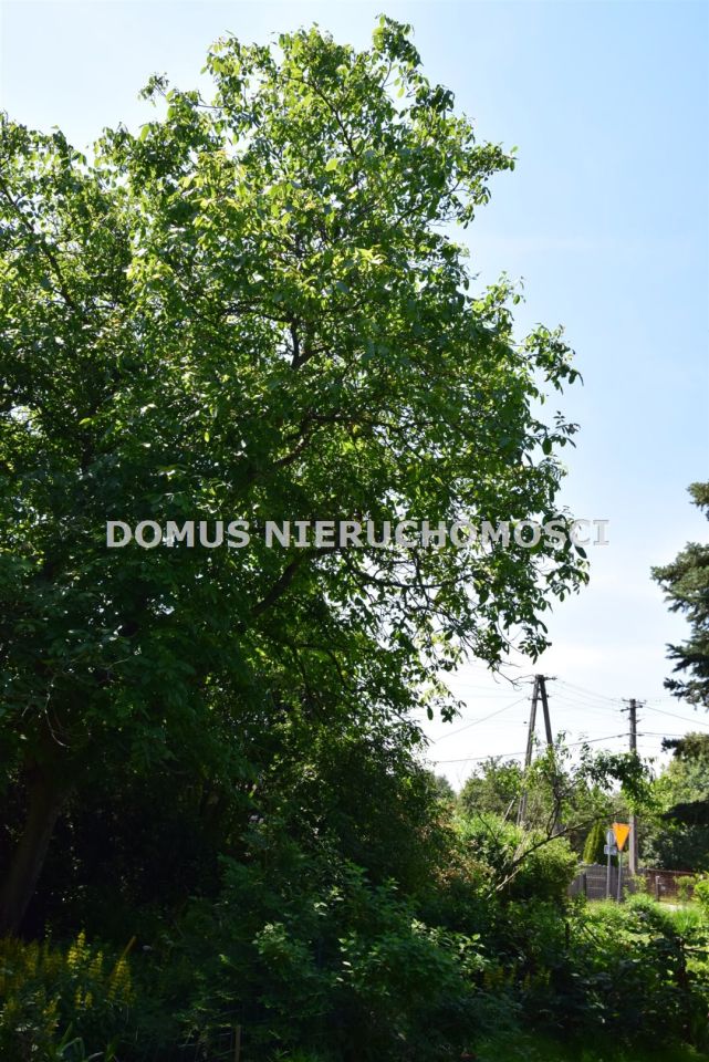 dom, 4 pokoje Janówka. Zdjęcie 17