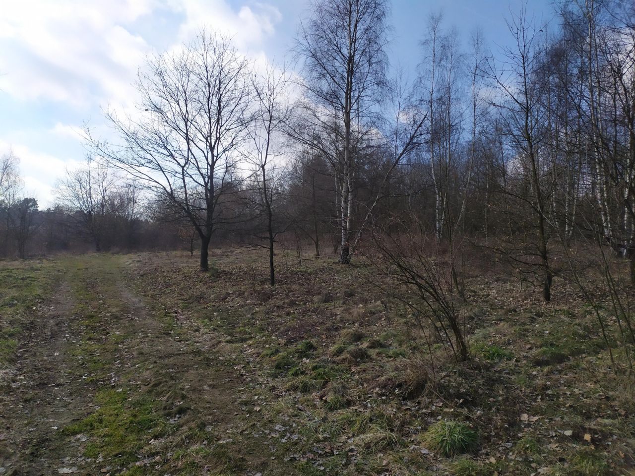 Działka Dąbrowa Szlachecka, ul. Spacerowa, bez pośrednika 3145 m2