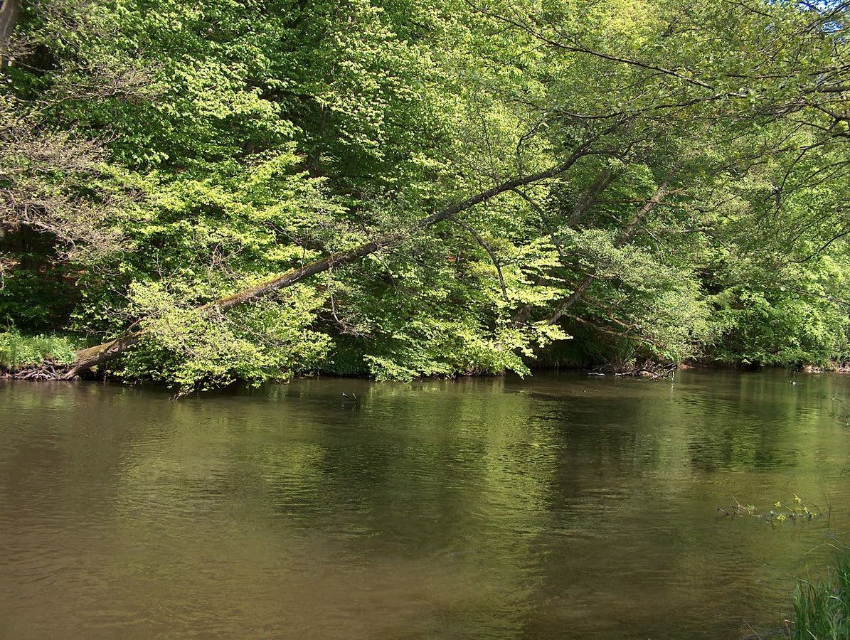 Działka budowlana Włynkówko, ul. Aleja nad Rzeką. Zdjęcie 9