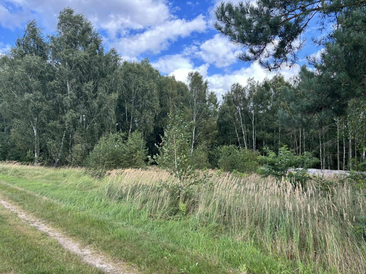 Działka budowlana Nekla, ul. Polna. Zdjęcie 4