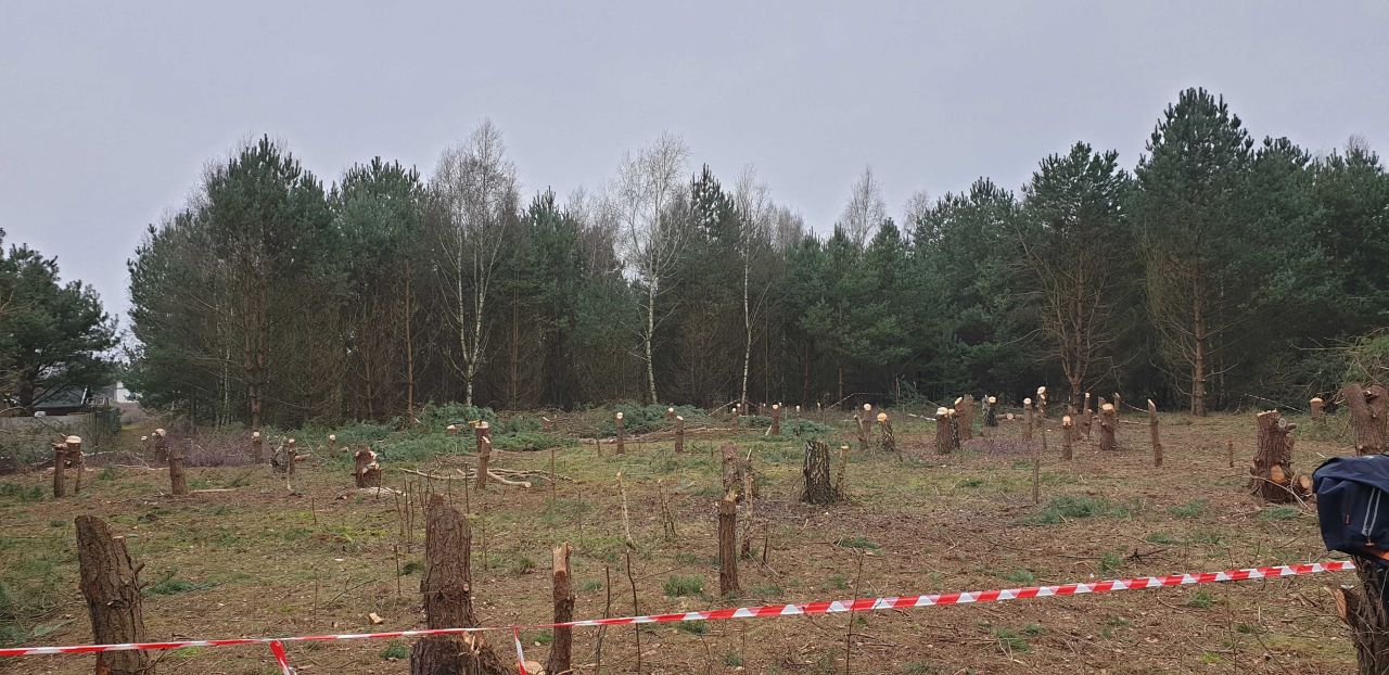 Działka budowlana Skórka. Zdjęcie 4