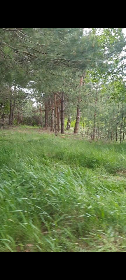 Działka budowlana Doratynka Skaryszewo. Zdjęcie 7