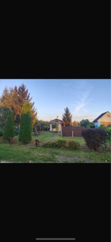 Działka rod Żary. Zdjęcie 1