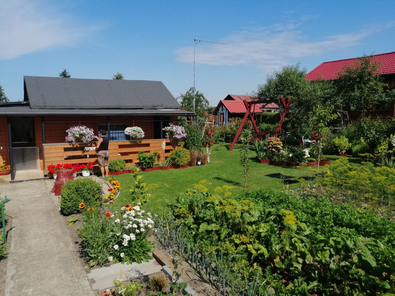 Działka rod Kołobrzeg, ul. Bolesława Krzywoustego. Zdjęcie 25