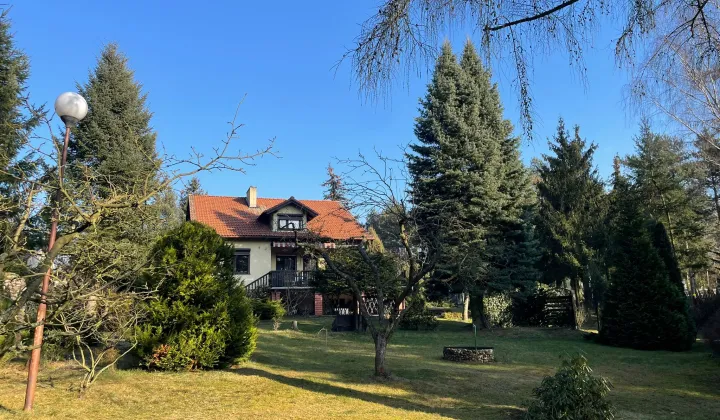 dom wolnostojący, 6 pokoi Krzyżówki