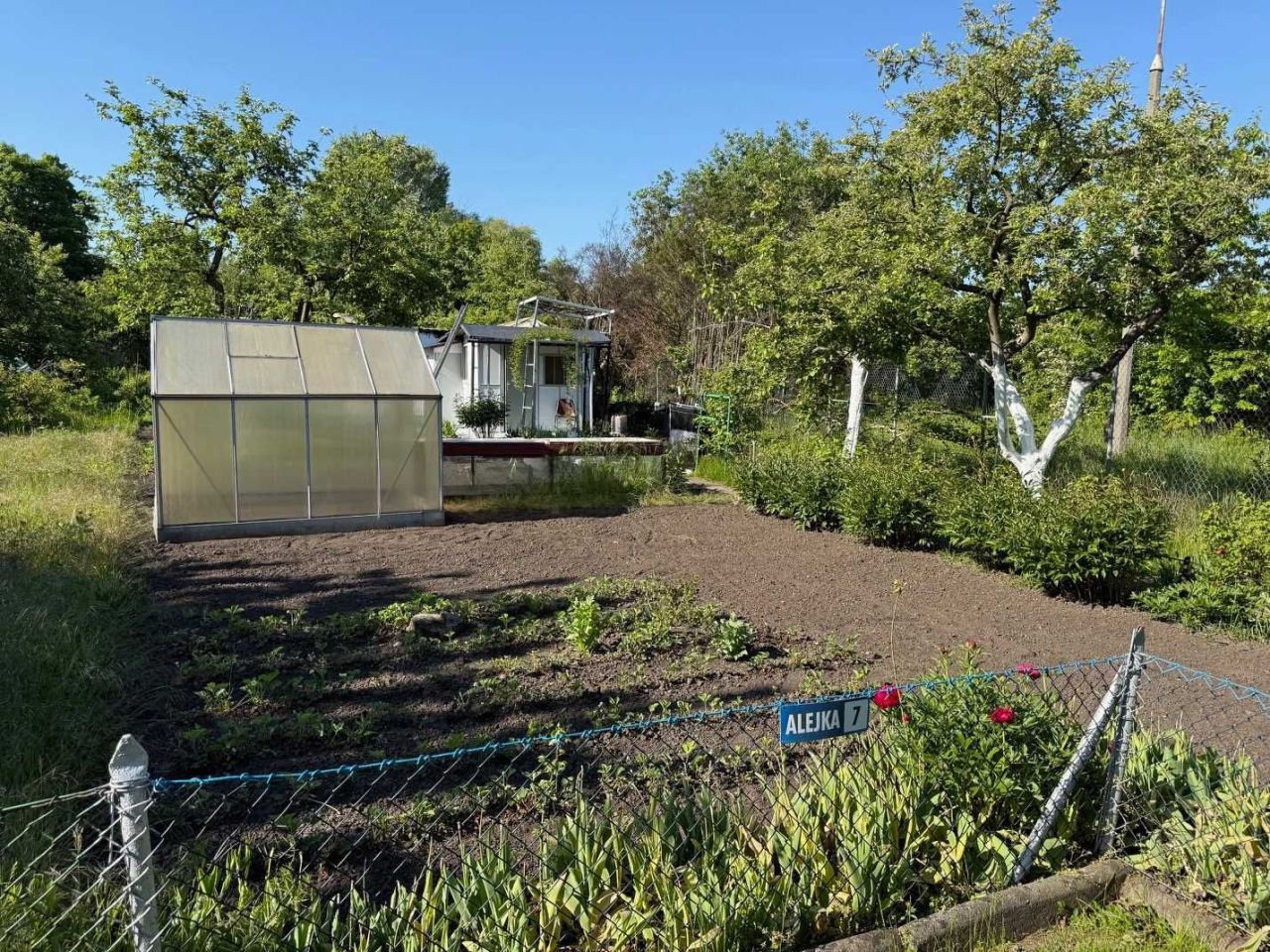 Działka rod Wrocław Ołtaszyn. Zdjęcie 4