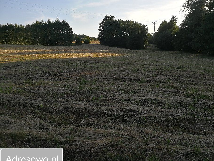 dom wolnostojący, 3 pokoje Dominikowice. Zdjęcie 3