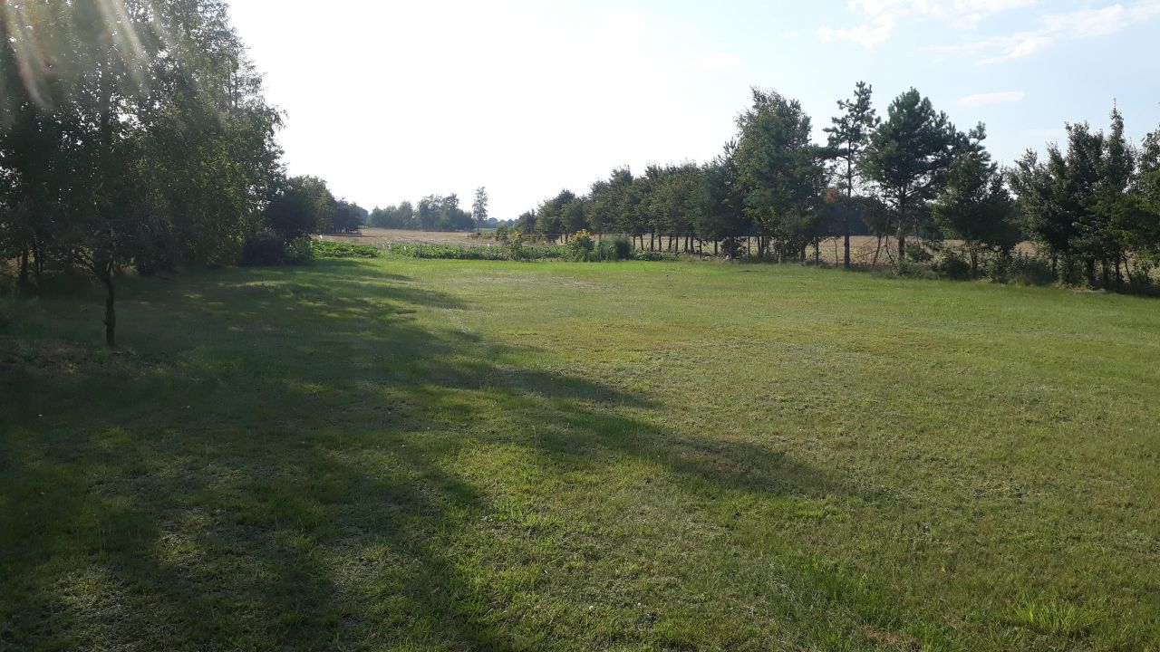 Działka siedliskowa Tarkowo Dolne. Zdjęcie 8