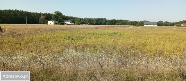 Działka Rzywno. Zdjęcie 1