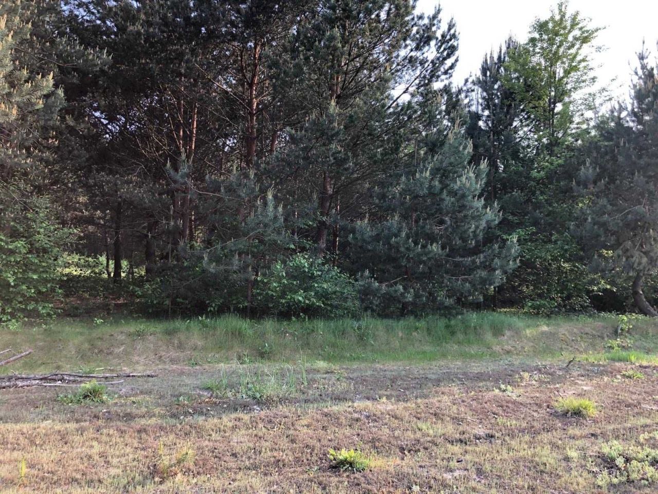 Działka budowlana Nielisz. Zdjęcie 4