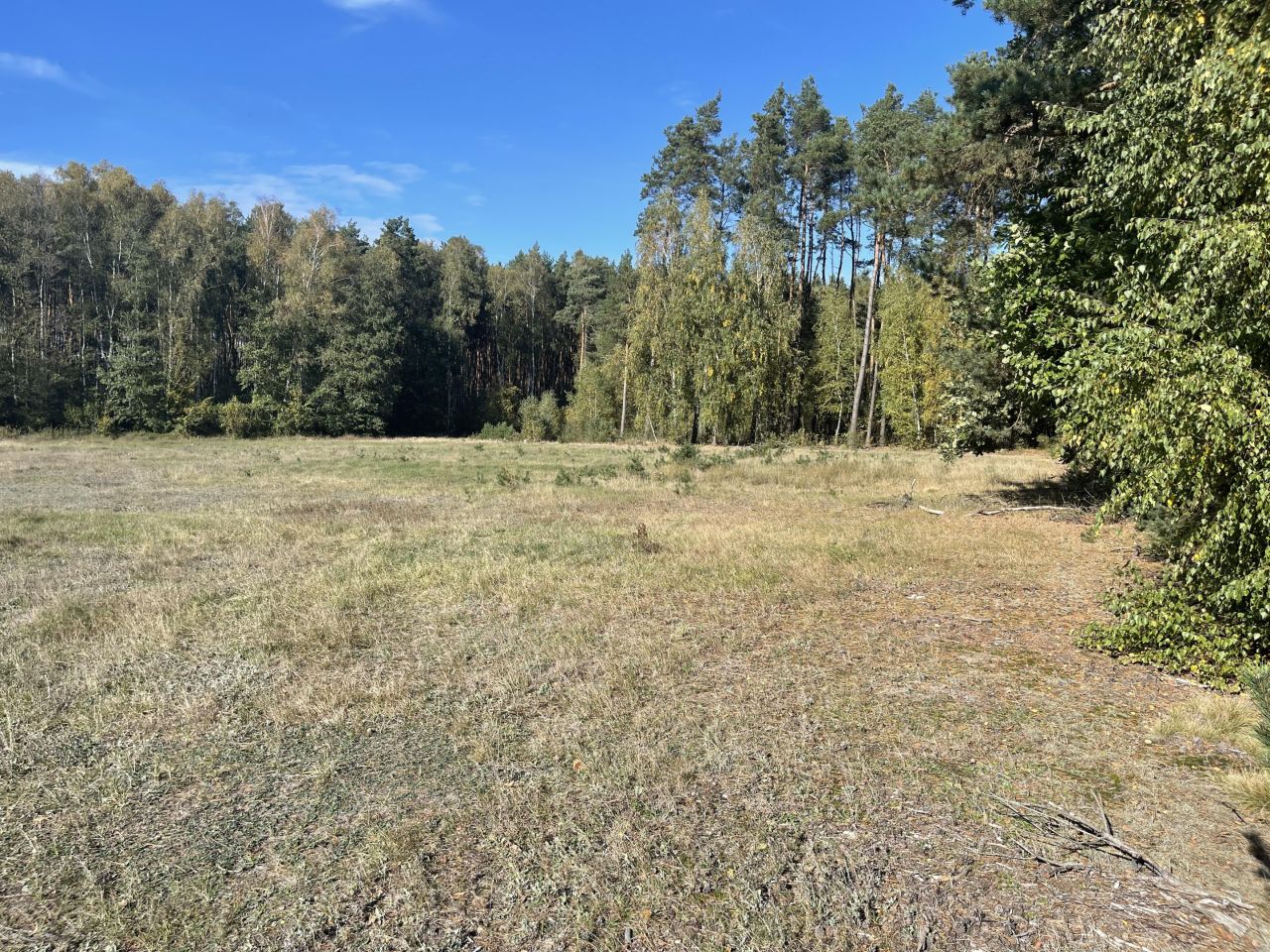 Działka rolna Jedlina. Zdjęcie 2