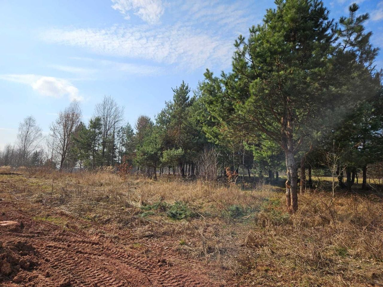 Działka budowlana Dziurów. Zdjęcie 8