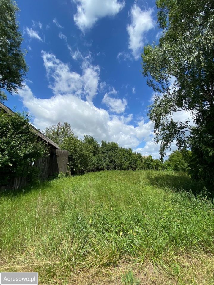 Działka siedliskowa Stegna. Zdjęcie 12