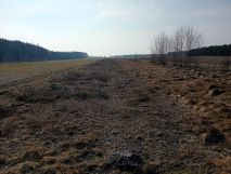 Działka rolna Wydrzyn. Zdjęcie 4