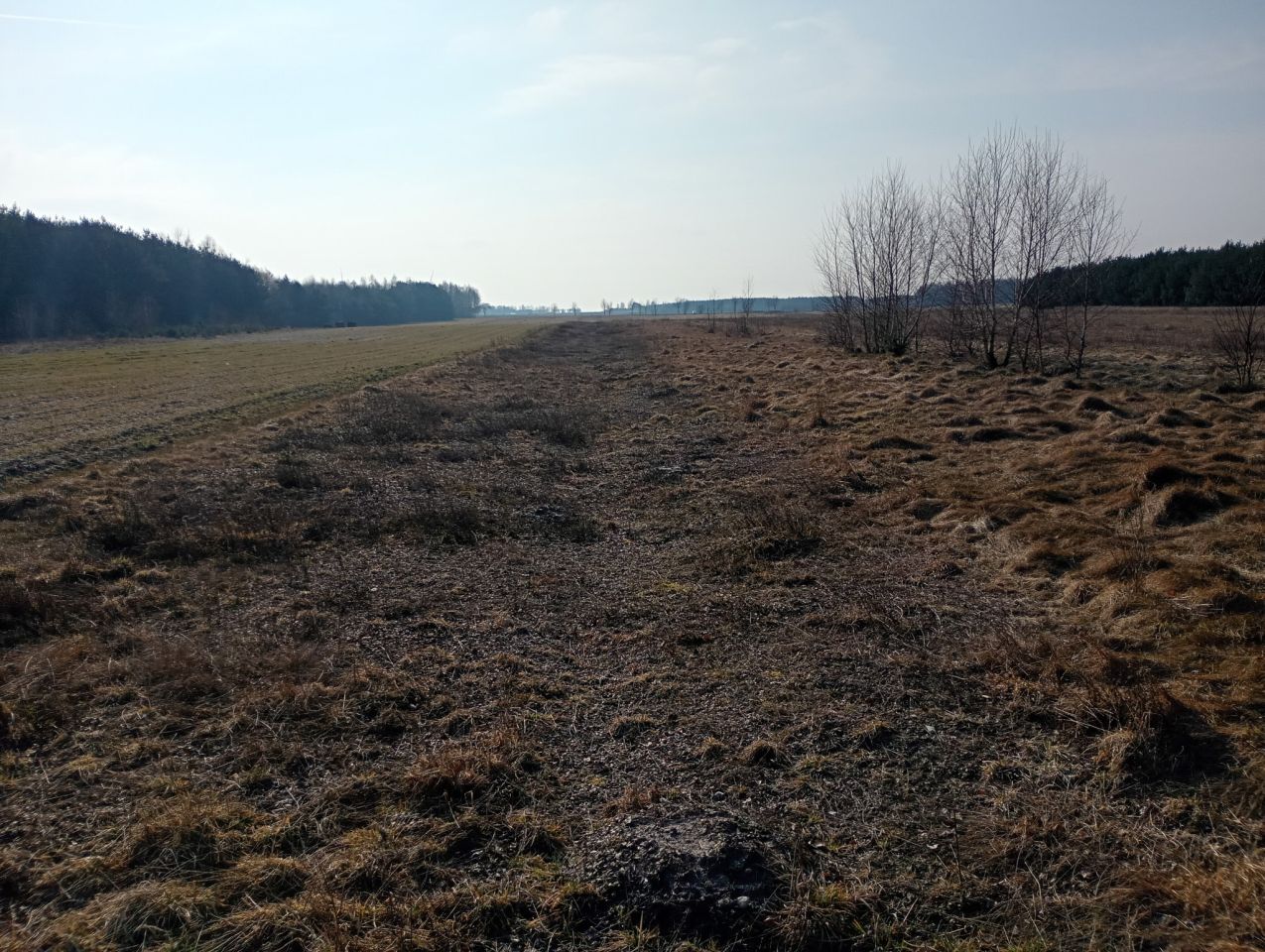 Działka rolna Wydrzyn. Zdjęcie 5