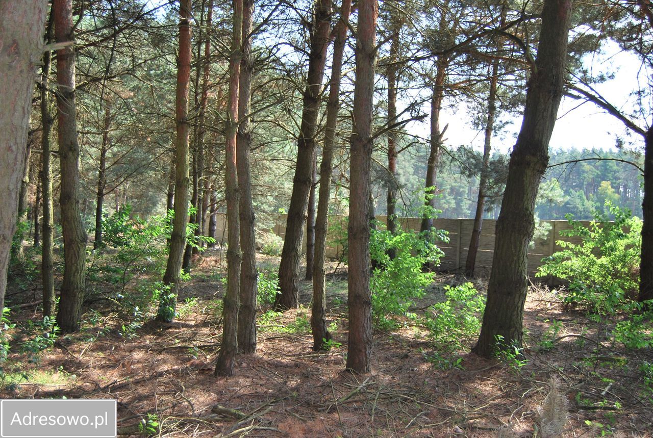 dom wolnostojący, 4 pokoje Wielgie Milickie. Zdjęcie 16