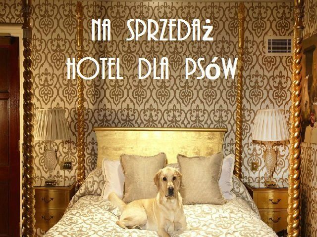 Hotel/pensjonat Pilchowo