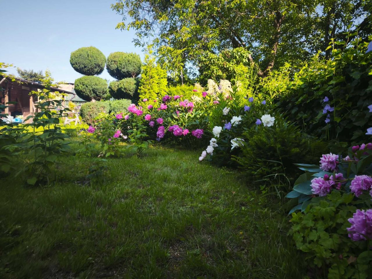 Działka rod Warszawa Ochota. Zdjęcie 8