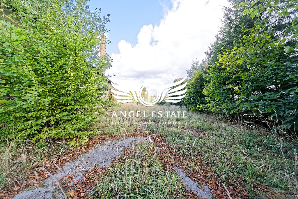 Działka inwestycyjna Pławno. Zdjęcie 5